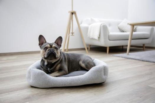 Hundebett Kerbl Graphene antibakteriell - Körbchen waschbar für Hunde und Katzen, für Allergiker geeignet